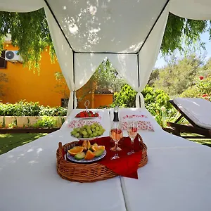 Mirakul , Zadar Chorwacja